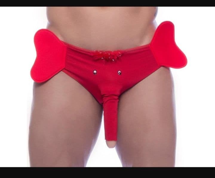 Cueca Elefante - Ana Intima